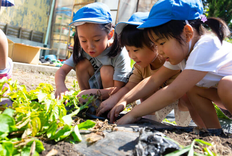 実体験＆園外保育