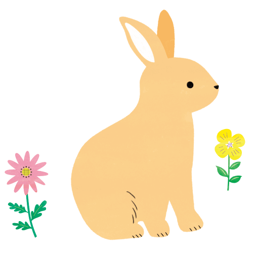うさぎ